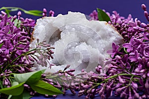 Clear Crystal Quartz Geode with crystalline druzy center surrounded by purple lilac flower.