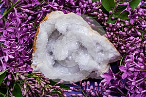 Clear Crystal Quartz Geode with crystalline druzy center surrounded by purple lilac flower.