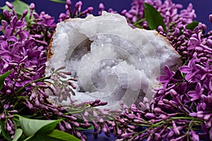 Clear Crystal Quartz Geode with crystalline druzy center surrounded by purple lilac flower.