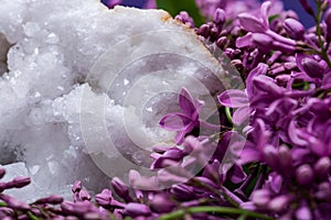 Clear Crystal Quartz Geode with crystalline druzy center surrounded by purple lilac flower.