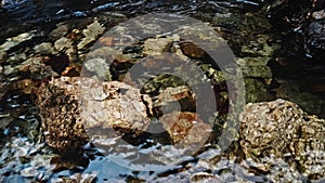 Clear crystal water with large stones on its depth. Drinking water in mountain stream.