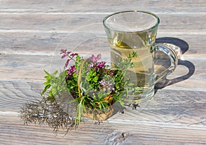 A clear cup of herbal tea and a basket with fresh herbs.