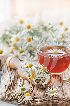 A clear Cup of medicinal chamomile tea on an old wooden table. Health and healthy lifestyle concept