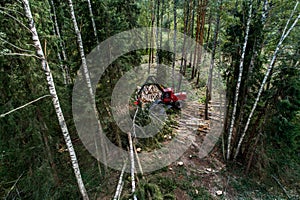 Clear-cutting harvester in a boreal forest