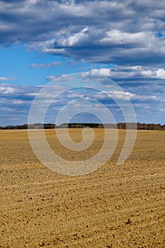A clear day over freshly tilled agricultural land photo