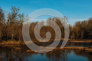 A beautiful view of a landscape with water and trees an a fall setting.