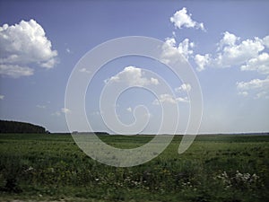 A clear field of agricultural land is densely overgrown with grass. There are clouds in the sky. The forest darkens on the horizon