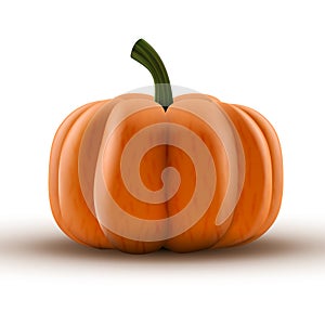 Clear Fresh Orange Pumpkin Isolated On Background