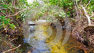 A Clear And Fresh Fresh Water River