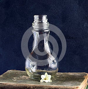 CLEAR GLASS BOTTLE WITH FLOWER ON OLD BOOKS