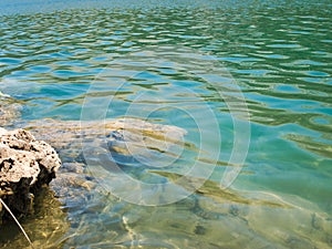 Clear green lake. The banks of the lake were stacked with large stones to prevent water erosion.