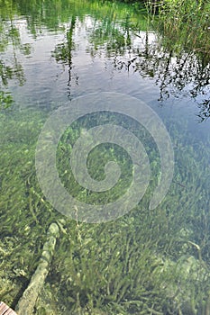 Clear Green Lake Reflecton photo