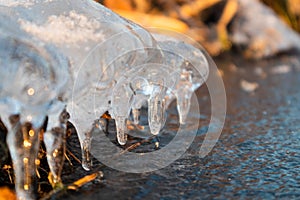 Clear ice icicle close-up sparkling on frozen lake