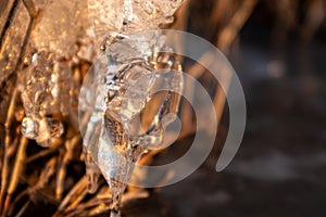 Clear ice icicle macro in dry reeds on frozen lake