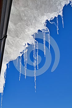 Clear icicles hanging from the roof