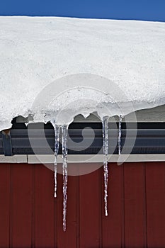 Clear icicles hanging from the roof