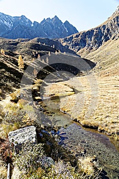 Mountain Stream in Autumn