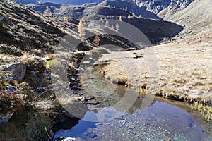 Mountain Stream in Autumn