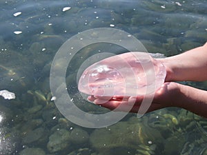 Clear medusa in the crystal-clear see