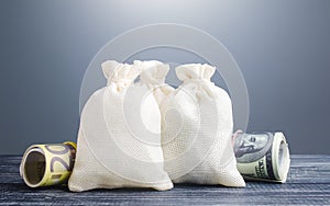 Clear money bags. Capital investment, savings. Economics, lending business. Profit income, dividends. Crowdfunding startups