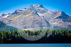 Clear morning at Lake Sils Upper Engadine Valley, GraubÃ¼nden, Switzerland