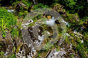 Clear Mountain Creek With Freshwater Over Rocks And Vegetation