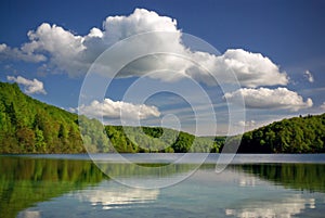 Clear mountain lake in green forest