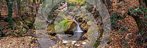 Clear mountain stream flows through the stones overgrown with green moss in an autumn reserved forest Panorama