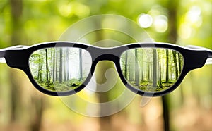 Clear nature in glasses on the background of blurred nature.Optometry, myopia,vision correction concept.