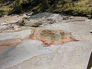 Clear orange brown pool at Yellowstone National Park