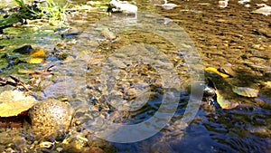 Clear peaceful waters stream waters