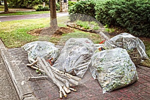 Clear plastic bags from yard cleanup piled at curb for pickup along with cut sticks tied together
