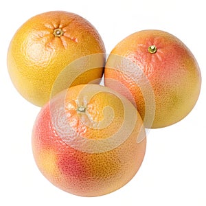 Container with a lid isolated on white background