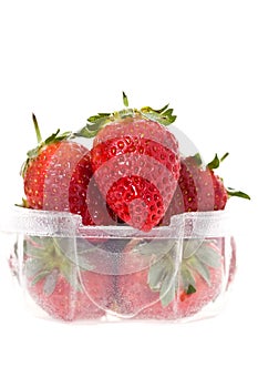 A clear plastic punnet of strawberries photo