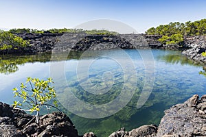 A clear pond at Isabela photo