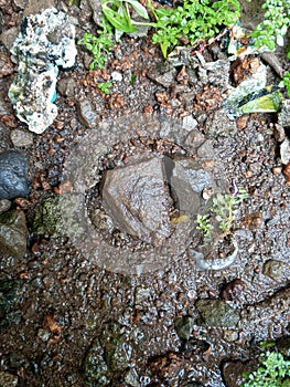 The clear river water flows with stones