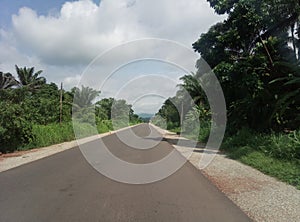 A clear road with rich vegetation