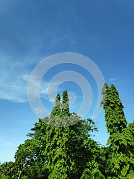 Clear skies in the city of Parepare, South Sulawesi - Indonesia