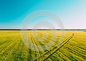 Clear sky above rural landscape in sunny summer evening. . Agricultural summer field. Aerial view of countryside road in