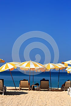 Clear sky beach umbrella