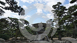 Clear sky Landscape with trees photo
