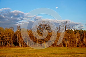 A clear sky with the moon visible, bare trees, and a green field