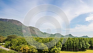 Clear sky by mountain and extensive tree forest photo