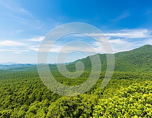 Clear sky by mountain and extensive tree forest photo