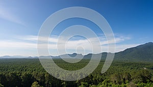 Clear sky by mountain and extensive tree forest photo