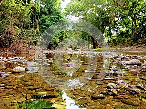 Clear small river photo