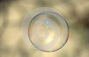 Clear soap bubble on light backdrop