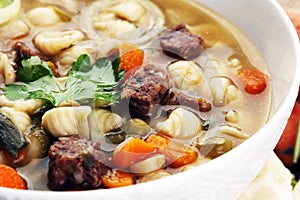 Clear soup with beef and noodles. Broth with carrots, onions var