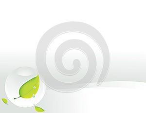 Clear sphere with leaf on white background