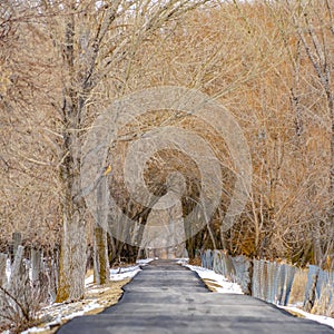 Clear Square Long paved road in the snowy forest lined with trees and fence viewed in winter